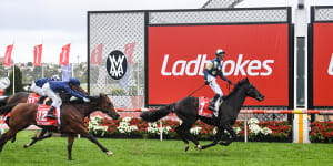 Ladbrokes owner Entain is the only party to publicly confirm its interest in Tabcorp’s wagering and media business. 