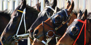 They’re racing at Narromine on Sunday.