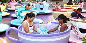 In a spin ... the teacup ride at Disneyland.