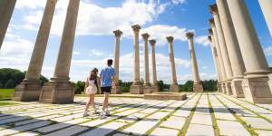 United States National Arboretum,Washington DC