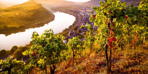 The Moselle cycle path is the prettiest way to explore Germany’s oldest wine region.