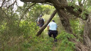 Homicide squad detectives are investigating after a body was found at Botany. Vision: TNV
