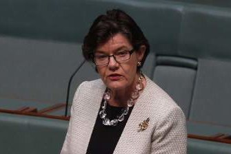 No sex please, we're politicians: independent MP Cathy McGowan wants higher standards in Parliament House.