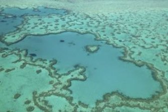 The government funding will be spent on projects to help save the reef, such as improving water quality.
