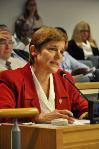 Rebecca Peters in 2014, lobbying a UN meeting on behalf of the International Action Network on Small Arms.