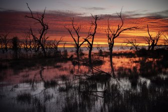 For the first time in five years, the Menindee Lakes system in far western NSW have filled up, but the future of the region remains uncertain.
