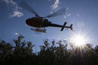 A National Parks and Wildlife Service helicopter departs after dropping a planting team on one of the wild translocation sites for the pines. 