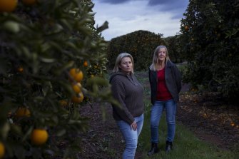 Jo Brighenti (left) and rice grower Debbie Buller on the Brighenti’s valencia orange farm in Griffith. 