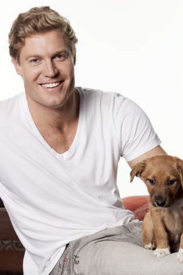 Pet Projects Keep The Bondi Vet Busy