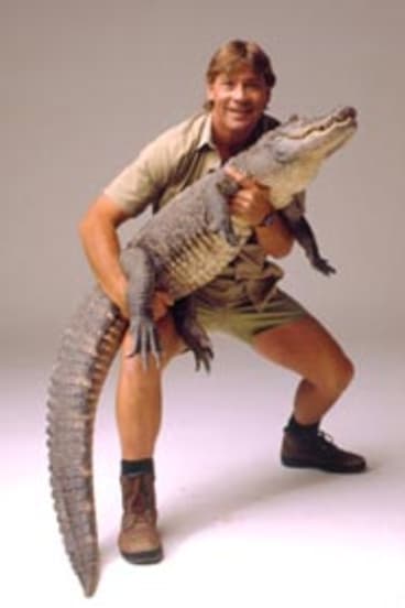 Rumours a total croc