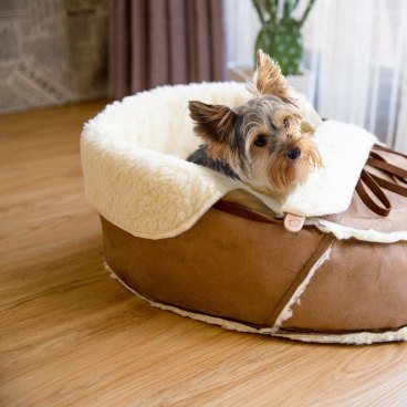 Moccasin cat outlet bed