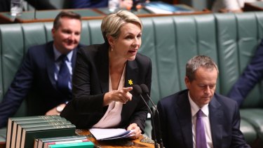 Deputy Opposition Leader Tanya Plibersek during question time  on Wednesday.