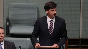 Liberal MP Angus Taylor delivered his maiden speech on Tuesday. Photo: Alex Ellinghausen