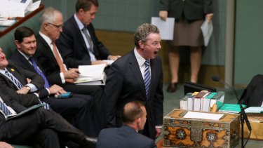 Leader of the House Christopher Pyne during question time on Wednesday.