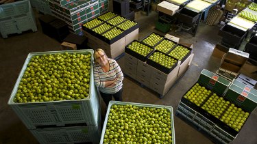 Orchardist Sue Finger says  growers could benefit as long as supermarkets pay a fair price.