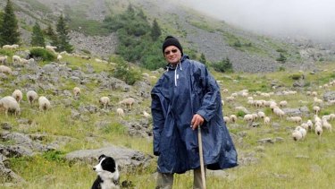 French shepherd Yves Vignon checks on his flock.