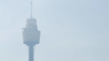 Sydney Tower as seen from the ground on Saturday morning.