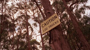 Logging in Leadbeater's possum habitat in Victoria is just one of many activities that have sparked criticism of VicForests.