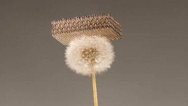 The material sits atop a fluffy dandelion.