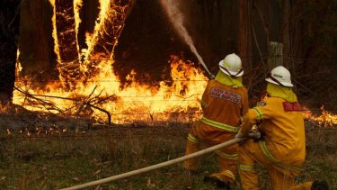 Hot topic: a surge of bushfires across NSW has sparked a debate on climate change.
