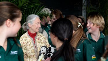 The world's favourite chimpanzee whisperer Jane Goodall talks ...