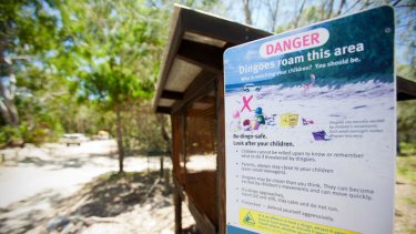 Read all about it … signs warn visitors to Fraser Island of the dangers posed by dingoes.