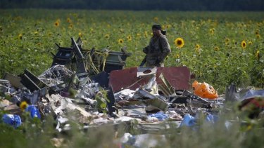 An armed pro-Russian separatist stands guard over the wreckage of MH17.