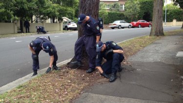 Police at the scene of the Bellevue Hill shooting.