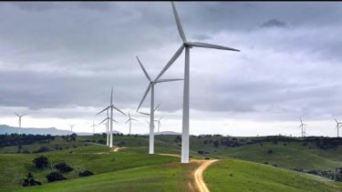 Wind farm policy is one of the few clear-cut differences between the major parties, and shapes as a significant issue in some regional seats.