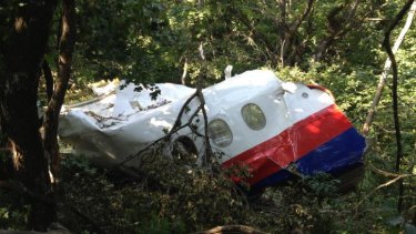 MH17 fuselage section discovered by OSCE-led an Australian and Malaysian team at the crash site.