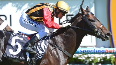 That's the spirit: Spirit Of Boom is chasing an elusive group 1 win.