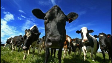 The dairy industry is feeling the pinch.