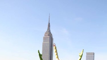 priscilla destiny broadway date joan rivers delivered allison thom cupcakes costume york