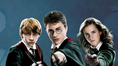 The Harry Potter series has spawned the Harry Potter Alliance, a global community of non-profit activists.