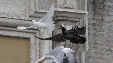 Angry birds: the peace doves come under attack