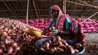 A labourer sorts onions inside a storehouse in Lasalgaon.