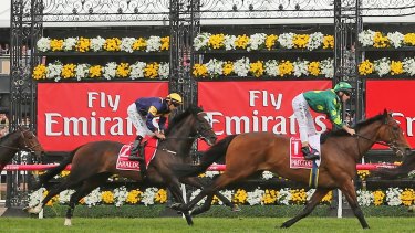 Araldo was put down after shattering a cannon bone when he jumped a steel rail following yesterday's Melbourne Cup.