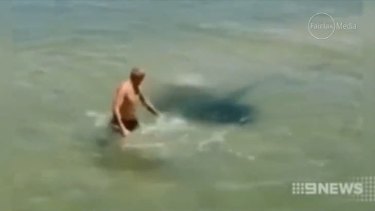 A man tangles with a stingray on the Gold Coast.