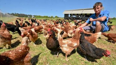 Aaron Powell with chickens on the Oxhill Organics Farm in Wauchope.