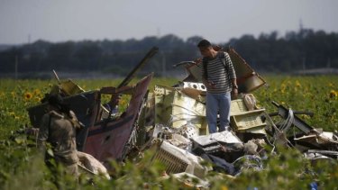 A Malaysian air crash investigator inspects the crash site of Malaysia Airlines Flight MH17.