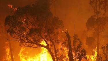 Bushfires
