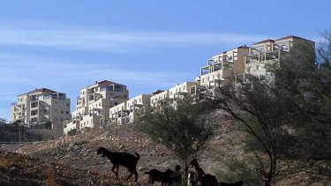 Building blocks: Ma'ale Adumim settlement in the West Bank.