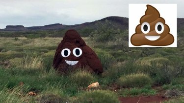 The poo emoji termite mound is located on the edge of the North West Coastal Highway in the Pilbara.  