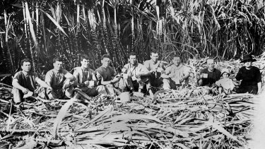 Italian sugar cane cutters in Innisfail. (Circa 1923)