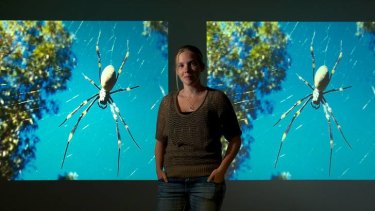 Lizzy Lowe has found spiders enjoy the conditions available to them in cities and it is helping their development.
