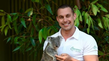 Featherdale's Chad Staples with koala joey Bungarribee.