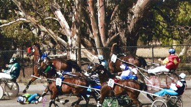 harness racing driver female heard probably australian never manning kerryn curls ve emergency position recent fall during