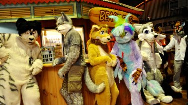 There were plenty of cool cats and wolves in sheep's clothing and sheep in wolves' clothing at the MiDFur convention.
