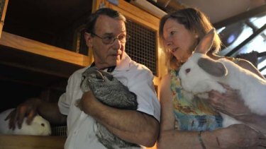 Bryce and Judi Inglis cuddle a couple of the rabbits in their Dandenong refuge, which the local council wants to close following complaints from neighbours.