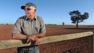 Victorian tomato grower Bruce Weeks 'We're just hoping to hang on.'